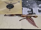 NIRVANA IN UTERO VERY RARE  LIMITD EDIT  VINYL CLEAR + POSTER + INSRT.  TOP MINT