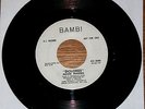 RARE DOO WOP SOUL 45 MOOD MAKERS-DOLORES/DREAM A DREAM ORIG BAMBI PROMO 7