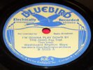 WASHBOARD RHYTHM BOYS/RHYTHM KINGS 78 rpm BLUEBIRD 5028 hot pre-war JAZZ V+