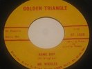 MR WIGGLES - WASH MY BACK/HOME BOY 45 GOLDEN TRIANGLE soul BLUES Jimi Hendrix NM