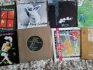 Siouxsie and the Banshees 7