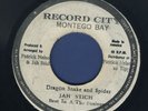 1785 JAH STICH-DRAGON SNAKE AND SPIDER-RECORD CITY- REGGAE 45 7