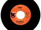 SUNRAYS SURF MUSIC 45-SINGLE SIGNED AUTOGRAPH “Andrea ” TOWER RECORDS RARE
