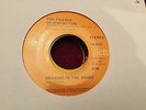 FRIENDS OF DISTINCTION GRAZING IN THE GRASS 1969 RCA 74-0107