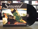 Seaweed 
