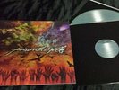 Poison the well -  opposite / tear LP hopesfall disembodied eighteen visions