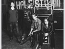 Halestorm - Into The Wild Life [Vinyl New]