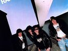 Leave Home  (Lp) - Ramones (2011, Vinyl NEW)