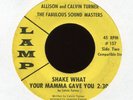 ALLISON & CALVIN TURNER Shake What Your Mama Gave You on Lamp Funk 45 Hear