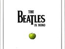 The Beatles: In Mono 14 LP Vinyl Box Set 180g Sealed New