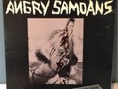 C165 The Angry Samoans – Inside My Brain Vinyl BT201 1980 HardCore Punk Record