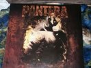 Pantera-Far Beyond Driven VINYL Rare Banned Cover Dimebag Anselmo brown Abbott