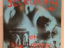 SCREAMING AT THE MIRROR II V/A LP - OZ AUSSIE MELB PUNK ALT COMP.  PRAY TV SLUB