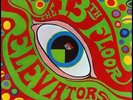 13TH FLOOR ELEVATORS sealed 1st w Hit YOU'RE GONNA MISS ME colored vinyl Intl Ar