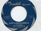 Northern Soul  * THE PHONETICS   *   Just A Boy ' s Dream  *    Trudel ReIssue