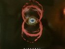 PEARL JAM   BINAURAL lp vinyl doppio