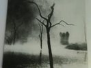 LP THE USE OF ASHES ( MEKANIK KOMMANDO ) -THE CASTLE OF FAIR WELCOME - ROSEBUD -
