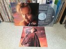 Alan Tam ??? My Love featuring Kim Wan Sun PolyGram Korea LP