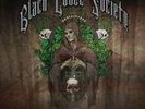 Unblackened (Ltd Edition) by Black Label Society (Vinyl, Jan-2014, Not Now...