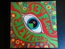 13th Floor Elevators, Psychedelic Sounds, International Artist, IA-LP-1, NM