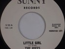 THE RIFFS: Little Girl / Why Are Nights SUNNY Doo Wop ’64 Promo ORIG NM- 45 Hear