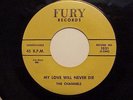 KILLER NYC DOO WOP 45 1ST PRESS BY THE 