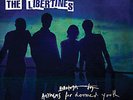 The Libertines 