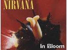 Nirvana In Bloom EP 12