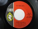 TEDDY BOYS Where Have All The Good TImes Gone CAMEO Garage Kinks 45 HEAR