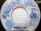 DAVID HOUSTON Sherry's Lips Miss Brown 1963 TEEN BOPPER promo Sam Phillips e7185