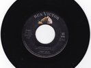 LENNY MILES - 45 -   Living Dream