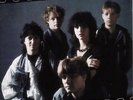 Nena ? (Fragezeichen) + PRESS FOLDER NEAR MINT CBS Vinyl LP