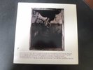 PIXIES SURFER ROSA NM LP ORIGINAL 1988 ORIGINAL INNER SLEEVE INCLUDES INSERT