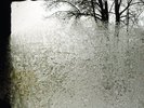 For Emma Forever Ago (Vinyl) [VINYL] Bon Iver Vinyl