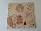 Devendra Banhart - Rejoicing In The Hands & Nino Rojo - Double Gatefold LP
