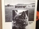 rare library NICK INGMAN Rhodes samples BRIGHT EYES dewolfe DRAMA OG LP NM-