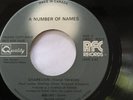 DETROIT ELECTO BOOGIE PROMO 45/ A NUMBER OF NAMES 