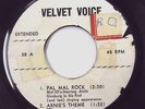 45 Private Press DAL-TONES Doo Wop Rockabilly Arnie Ginsburg DJ Velvet Voice e3
