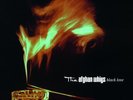 AFGHAN WHIGS - BLACK LOVE  VINYL LP NEW+