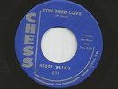 Muddy Waters: