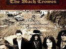 The Black Crowes - The Southern Harmony And Musical Companion (LP, Album, RE, 18
