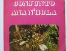 CONJUNTO ANA N’GOLA 45 7’’ Angola AFRO BEAT FUNK TROPICAL SEMBA PSYCH FOLK