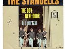 STANDELLS - THE BOY NEXT DOOR /B.J. QUETZAL- 60's BEAT GARAGE - PS - 7