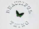 The Stone Roses - Beautiful Thing 12