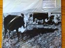 MARK KOZELEK - The Finally LP vinyl SEALED - Ltd Ed 500 copies Sun Kil Moon