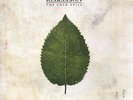 The Boxer Rebellion - Cold Still