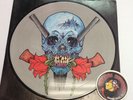 Metallica ?Evil Never Dies Rock Picture Disc LP Germany Piranha Records