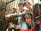 THE YARDBIRDS FIVE LIVE 1st UK COLUMBIA EMI MONO LP 33SX 1677 MINT CONDITION