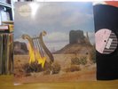 LYRES ON FYRE VINYL LP 12