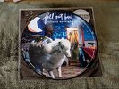 Infinity on High by Fall Out Boy LP Picture Disc Panic at the Disco Brand New